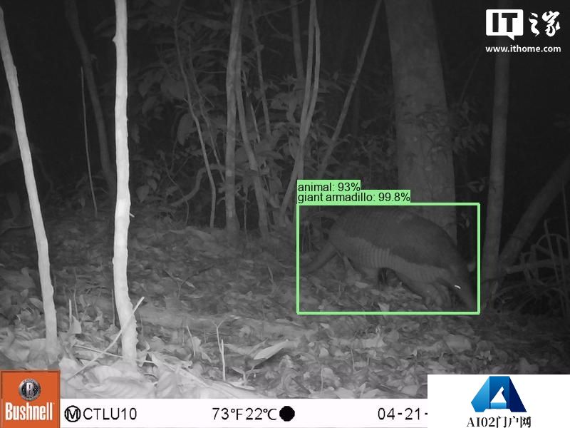 谷歌开源物种识别 AI 模型 SpeciesNet,助力野生动物研究 谷歌开源物种识别 AI 模型 SpeciesNet,助力野生动物研究