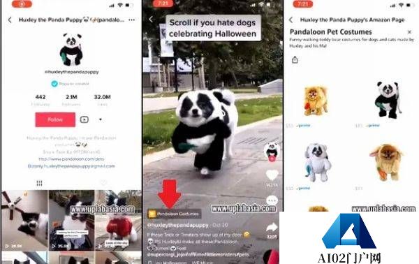 TikTok聊天机器人被命名为Tako 测试类似ChatGPT的AI聊天机器人orAI搜索 TikTok聊天机器人被命名为Tako 测试类似ChatGPT的AI聊天机器人orAI搜索