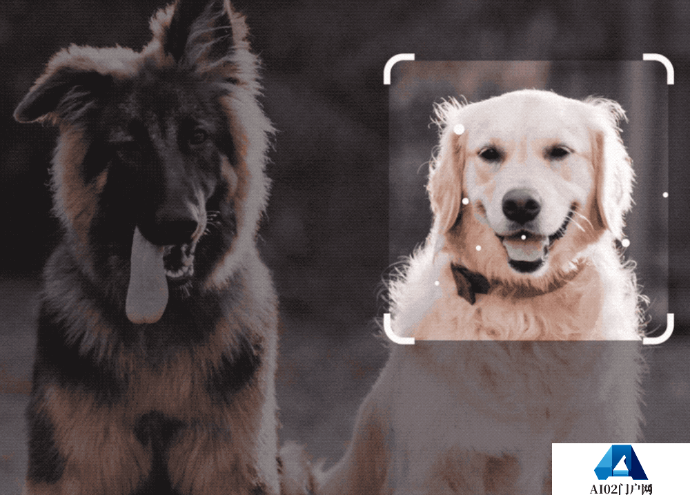 谷歌杀疯了,深夜放出生成式AI全家桶! 谷歌杀疯了,深夜放出生成式AI全家桶!