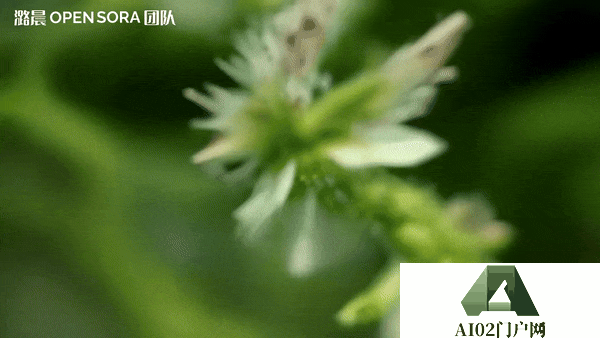 支持无缝产出任意风格的高质量短片，并且全部开源。
