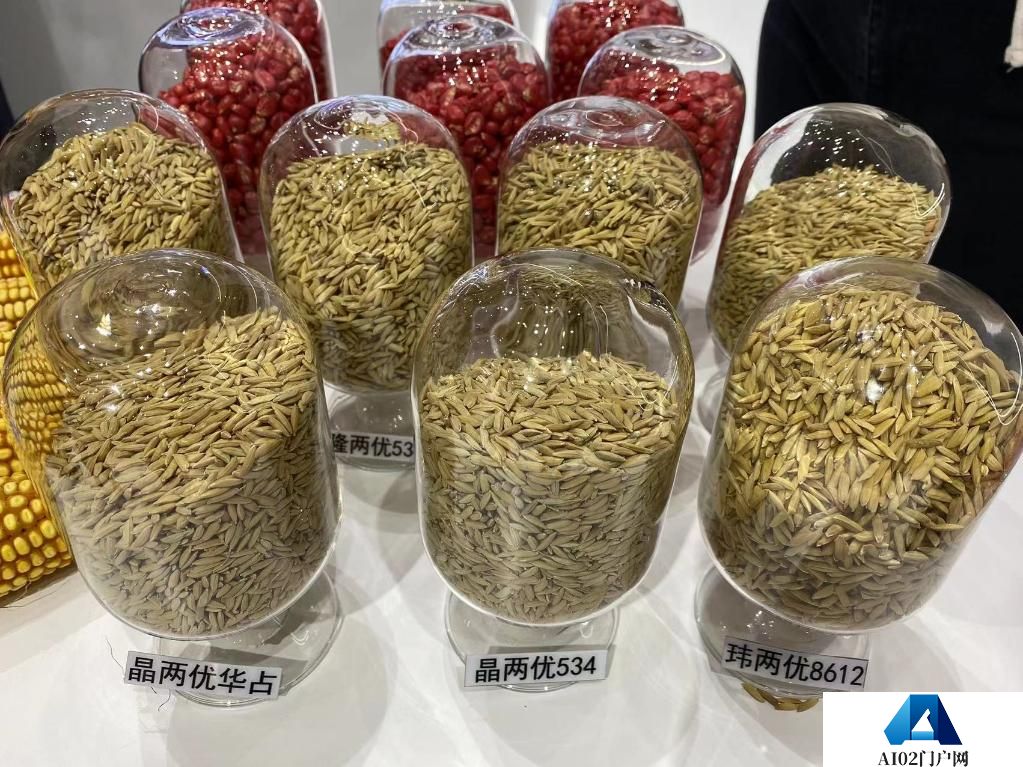 世界人工智能大会报道：“一碗好饭”背后的人工智能