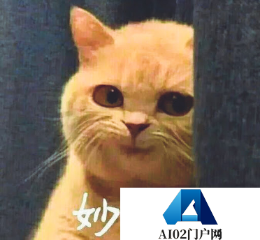 全球首个AI Native的营销平台：轻舸 