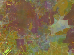 谷歌“虚拟卫星”AI模型问世：可提供近乎实时的地球视图