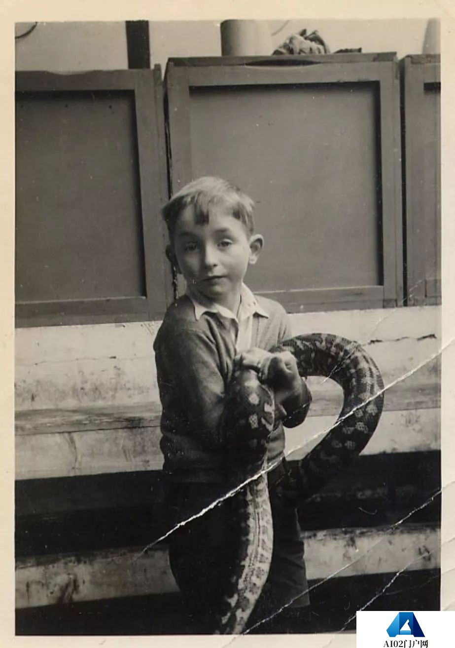 Hinton：人类就是机器，绝妙的机器