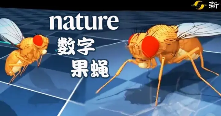DeepMind果蝇登Nature，强化学习立功！AI模拟飞行逼真到腿毛颤抖