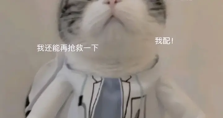 谷歌新Bard逆袭GPT-4冲上LLM排行榜第二！Jeff Dean高呼我们回来了